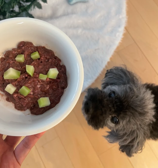 HUGBOXの食事とクロアくん